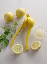 HENDI Citrus squeezer, BarUp, grön (för limes), grön, 203x60x(H)40mm