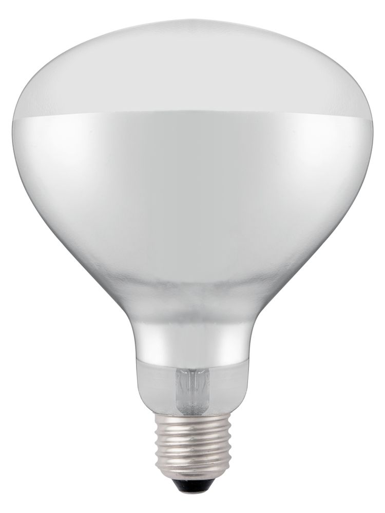 HENDI Infrared heat bulb, HENDI, vit, 230V/250W, ⌀125x(H)170mm