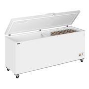 TEFCOLD Glassfrys – CF700 SL 2