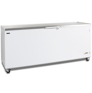 TEFCOLD Glassfrys – CF700S SL 1