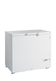 TEFCOLD Glassfrys – FR305 SL 1