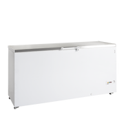 TEFCOLD Glassfrys – FR605S SL 1
