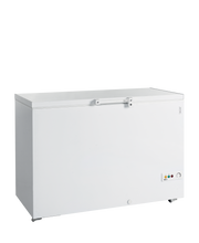 TEFCOLD Glassfrys – FR405 SL 1