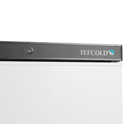 TEFCOLD Förvaringsfrys – UF200V 4