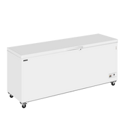 TEFCOLD Glassfrys – CF700 SL 1